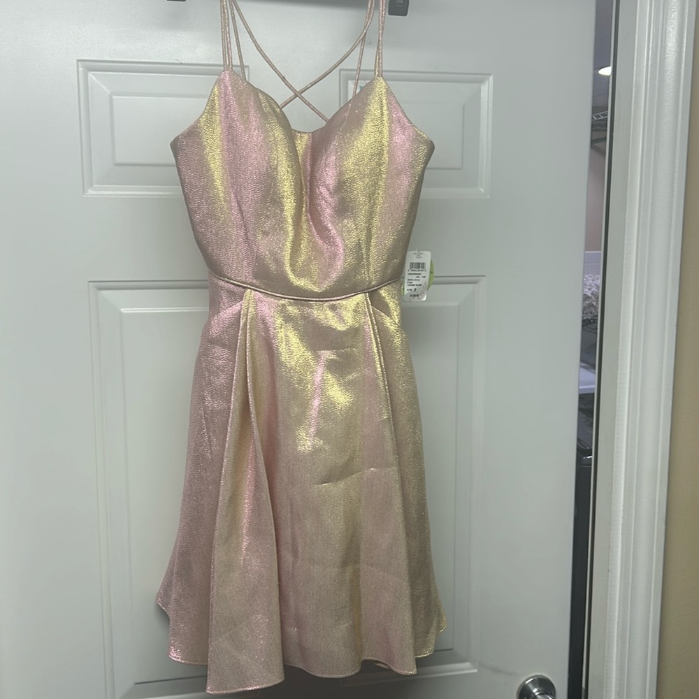 Windsor size 3 formal party dress new with tags
